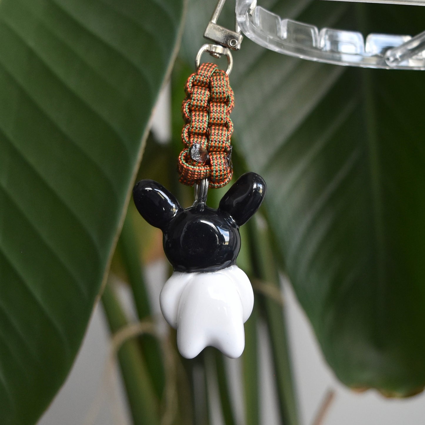 Black Bunny Bow Beetle Box Knot