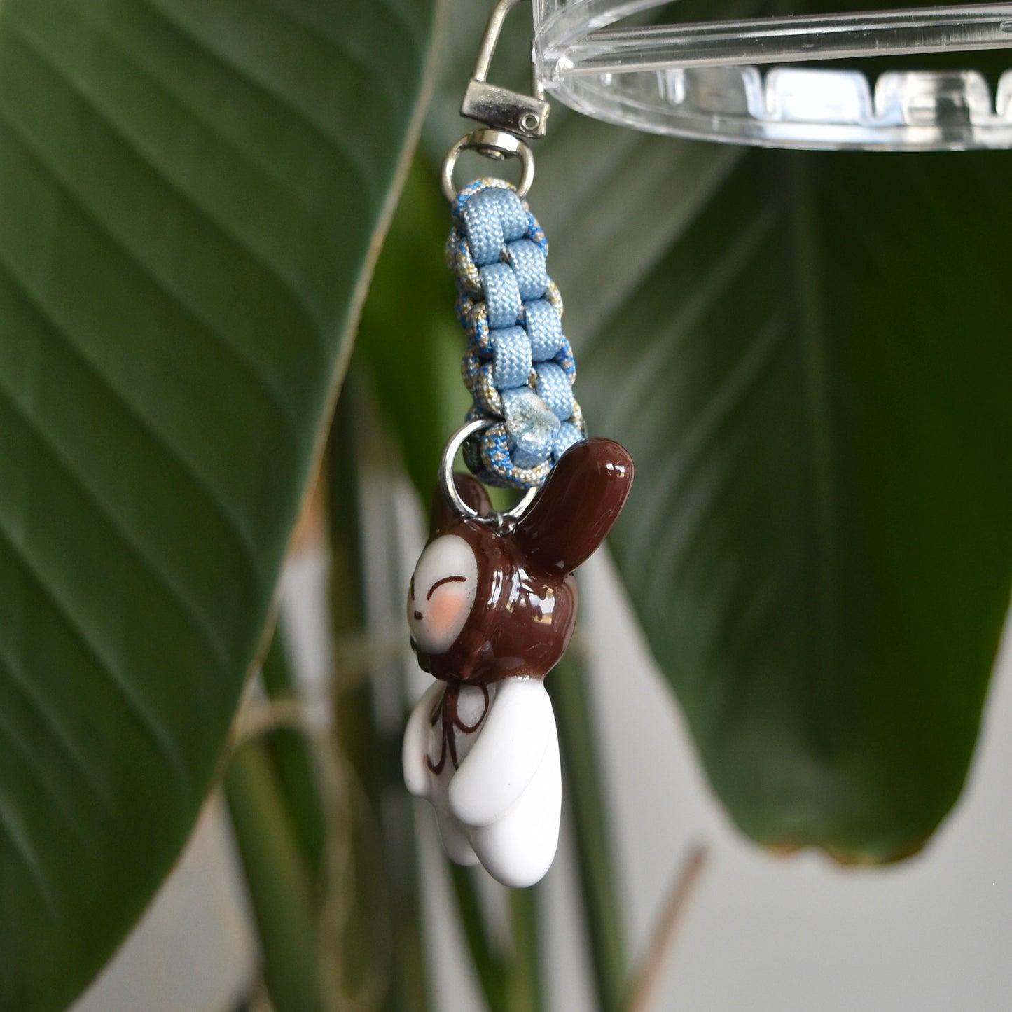 Brown Bunny Blue Box Knot